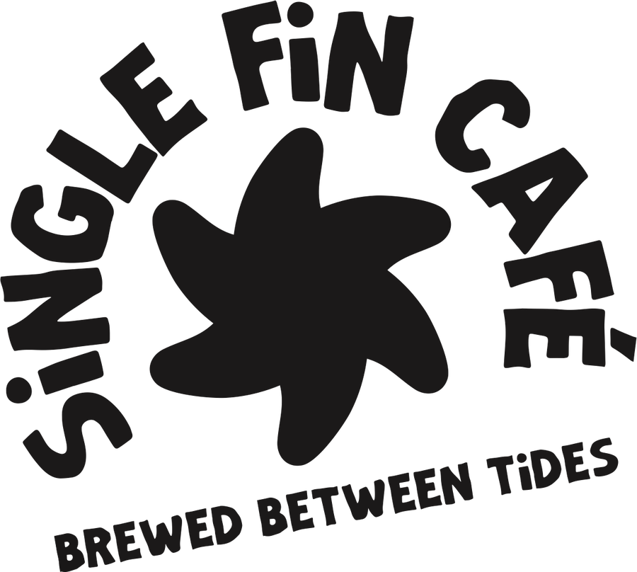 Single Fin Café — Brewed Between Tides